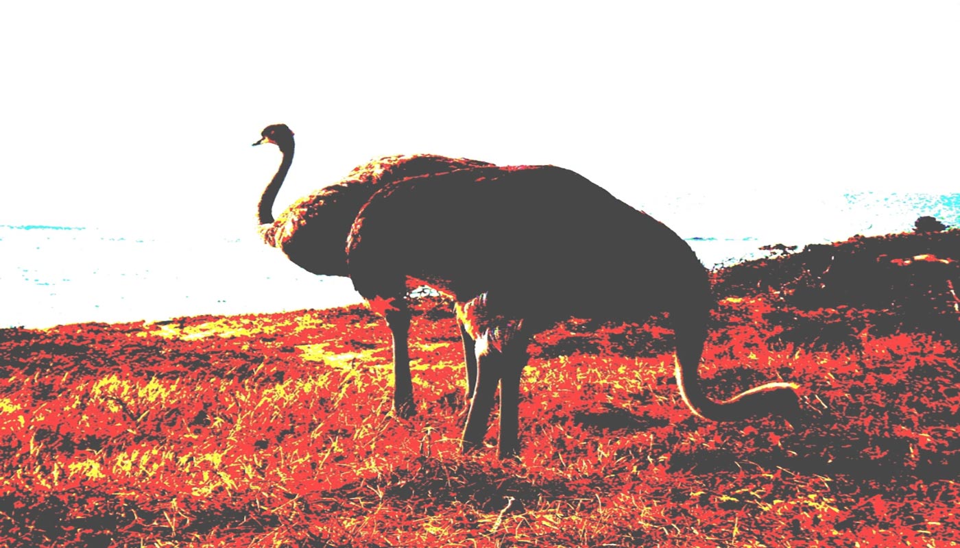 Le sette allegre risatelle - Meditazione